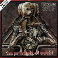 The Principle of Doubt