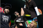 Zebrahead