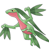 020 Grovyle.png