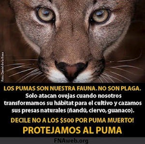 [puma%255B8%255D.jpg]