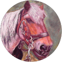 Image Google de Comus isabelle