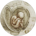 Image Google de David Pl
