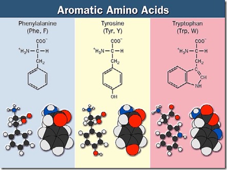 amino acids-10