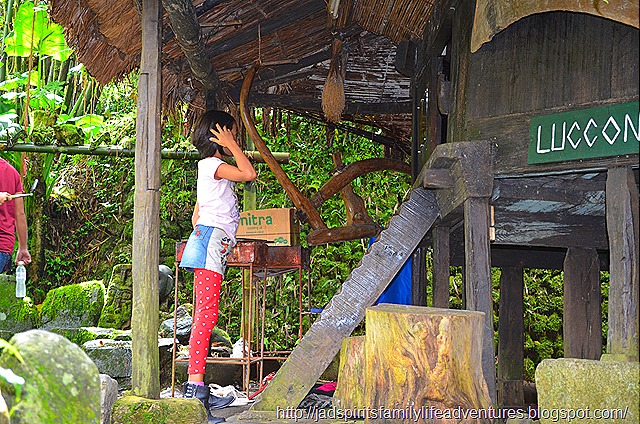 DSC_2090 DSC_2090