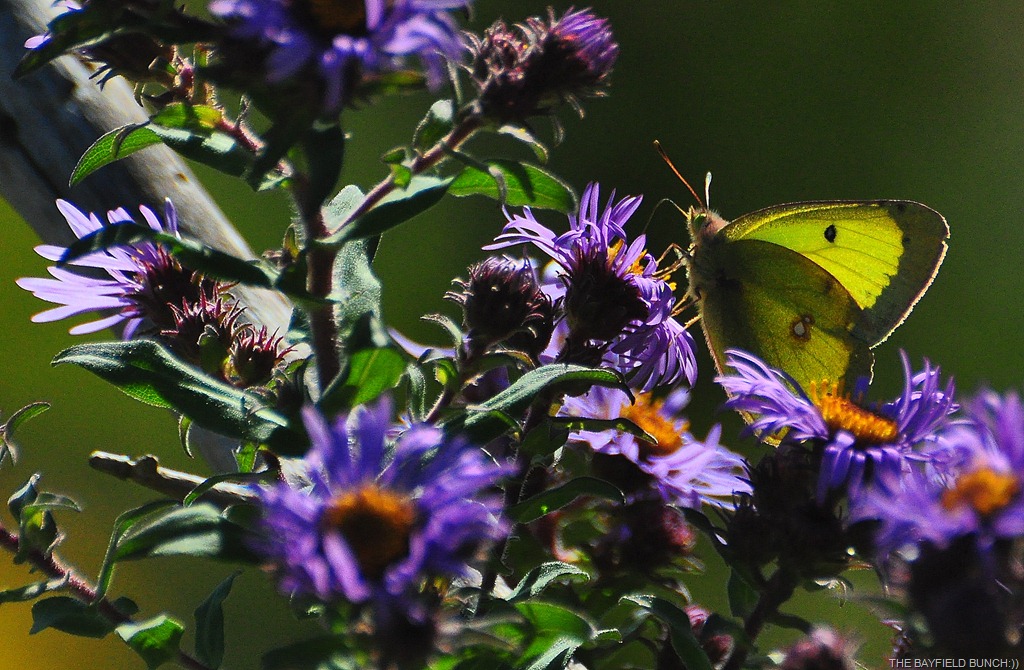 [DSC_0007%255B8%255D.jpg]