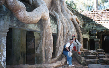 Imagini Angkor: copaci pe cladiri la Ta Phrom