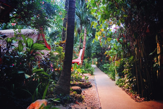 walkway to chalets