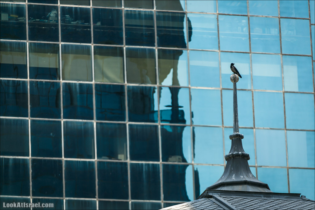 LookAtIsrael.com - Фото заметки из жизни Тель Авива