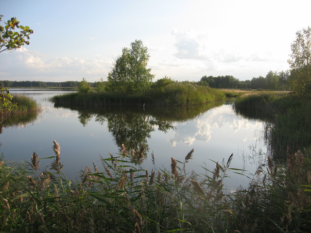 Полуостров на оз. Лебяжье (Куроедов Александр)