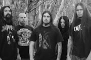 Disgorge