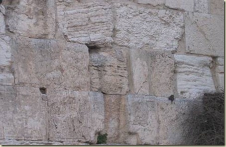 image005