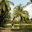 Singapur - w parku oczywiście rosną palmy