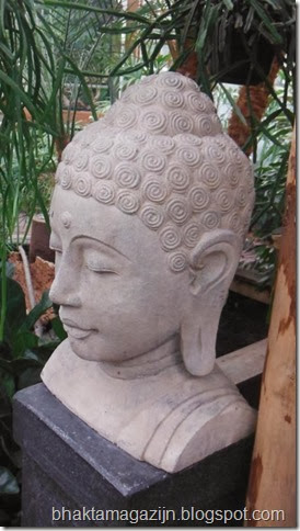 DSCF1531boeddha avatara bhaktamagazijn (5)