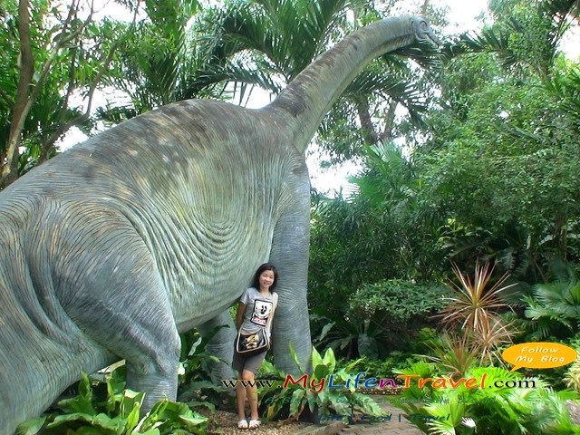Thailand Phuket Zoo 18