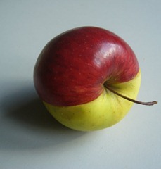 red-green apple 500x525
