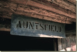 Auntsfield2