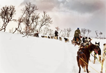 Travel, Giver, slitte cani asky, postale dei fiordi, viaggio intorno al grande nord, travel in norway, italian fashion bloggers, fashion bloggers, street style, zagufashion, valentina coco, i migliori fashion blogger italiani