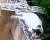 [clip_image001%255B3%255D.jpg]