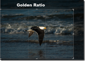 Gold Ratio cropping overlay in lightroom