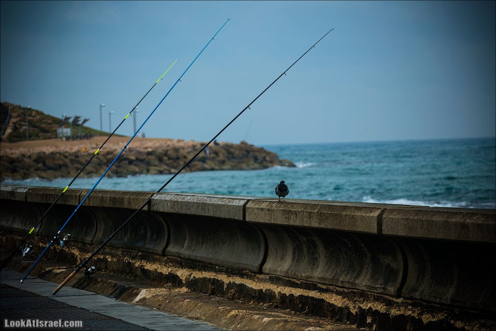 Порт в Яффо | Jaffa harbour | LookAtIsrael.com - Фото путешествия по Израилю