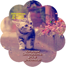 Francycard+com+movimento88.gif