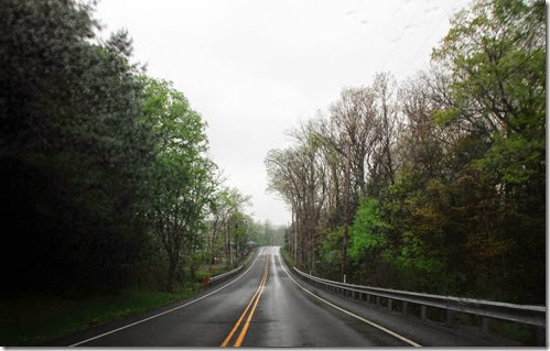 Rainy Road