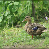 na was is denn da los