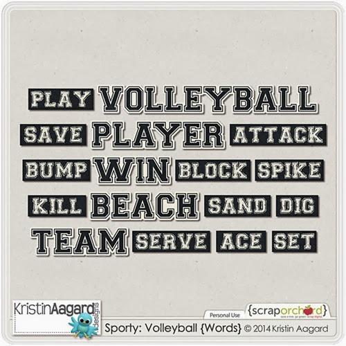 _KAagard_SportyVolleyball_Words_PVW