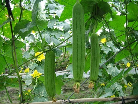 [clip_image001%255B3%255D.jpg]