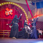 IMG_5146.jpg