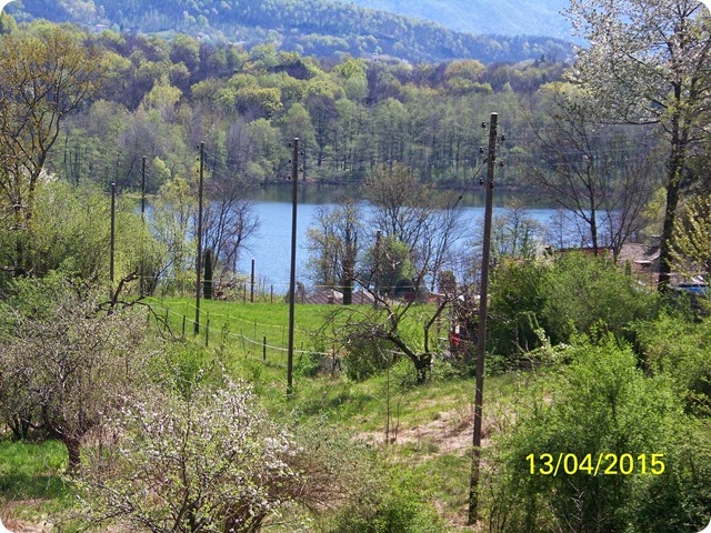 100_6336 100_6336