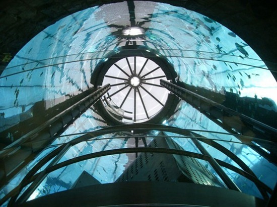 Cylindrical Aquarium 07