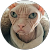 м с м с