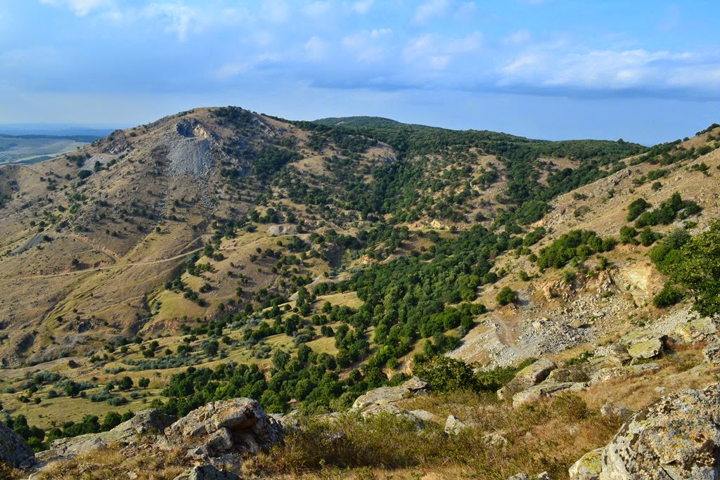 [DSC_74063.jpg]