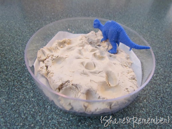 Clay Dinosaur Fossil Prints