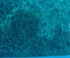 [clip_image060%255B3%255D.jpg]