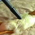 Funny Videos Of Animals Compilation 2014 [NEW]