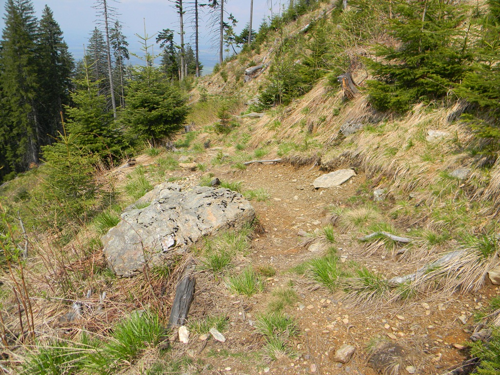 [DSCN53713.jpg]