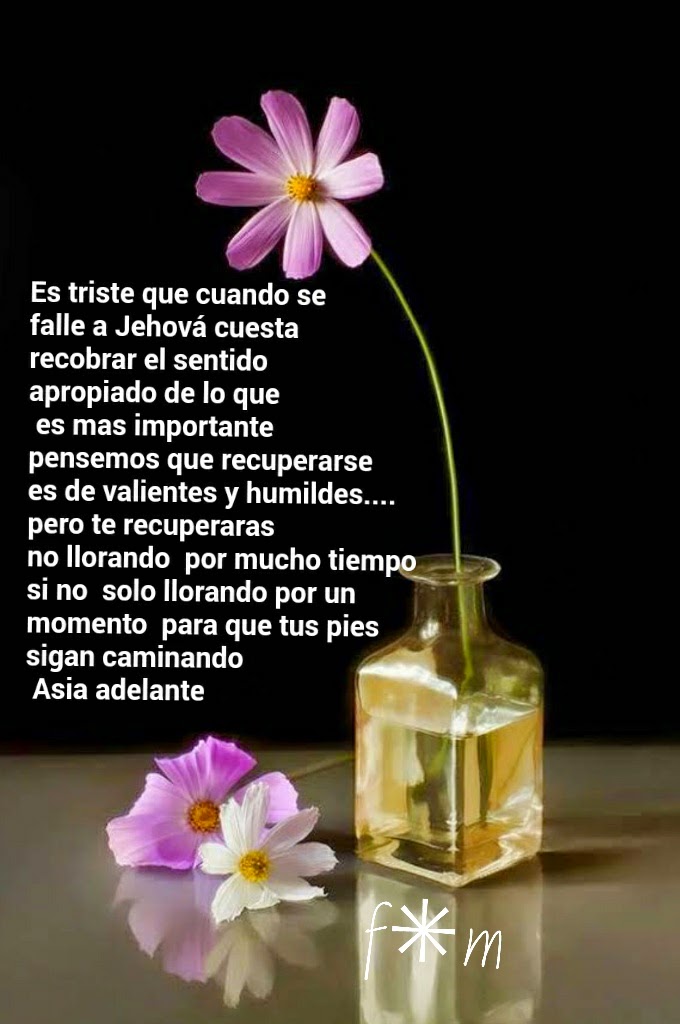 La felicidad no es posesion de todos, solo, el que hoy ,se decida a ...