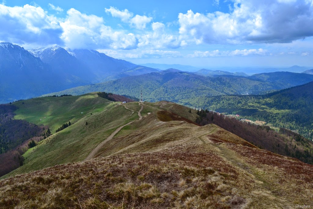 [DSC_00153.jpg]
