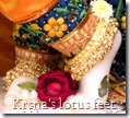 Worshiping Krishna's lotus feet