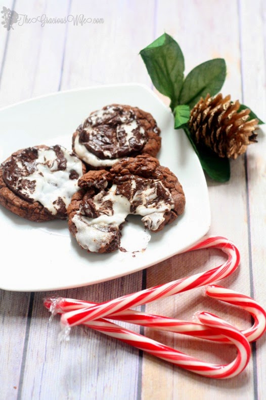 peppermint-patty-cookies-christmas-cookies-recipes-4