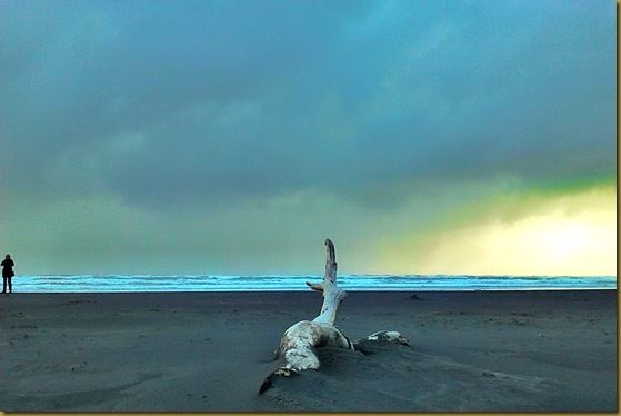 Beach storm girl wood sky