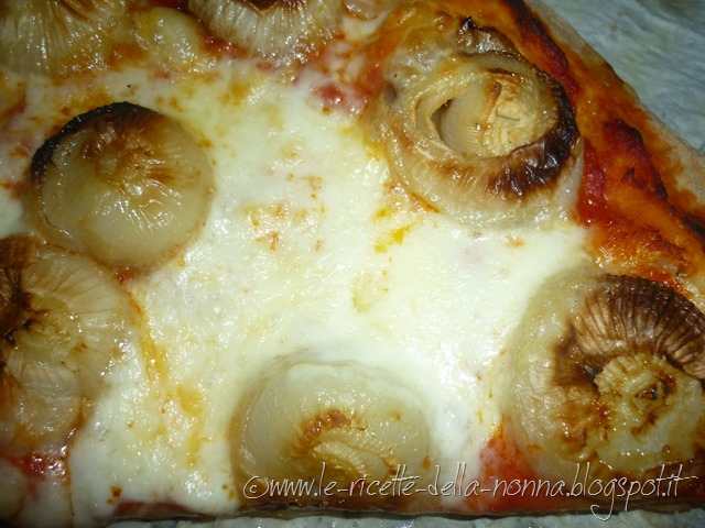 [Pizza-di-farina-di-segale-con-cipoll%255B1%255D.jpg]