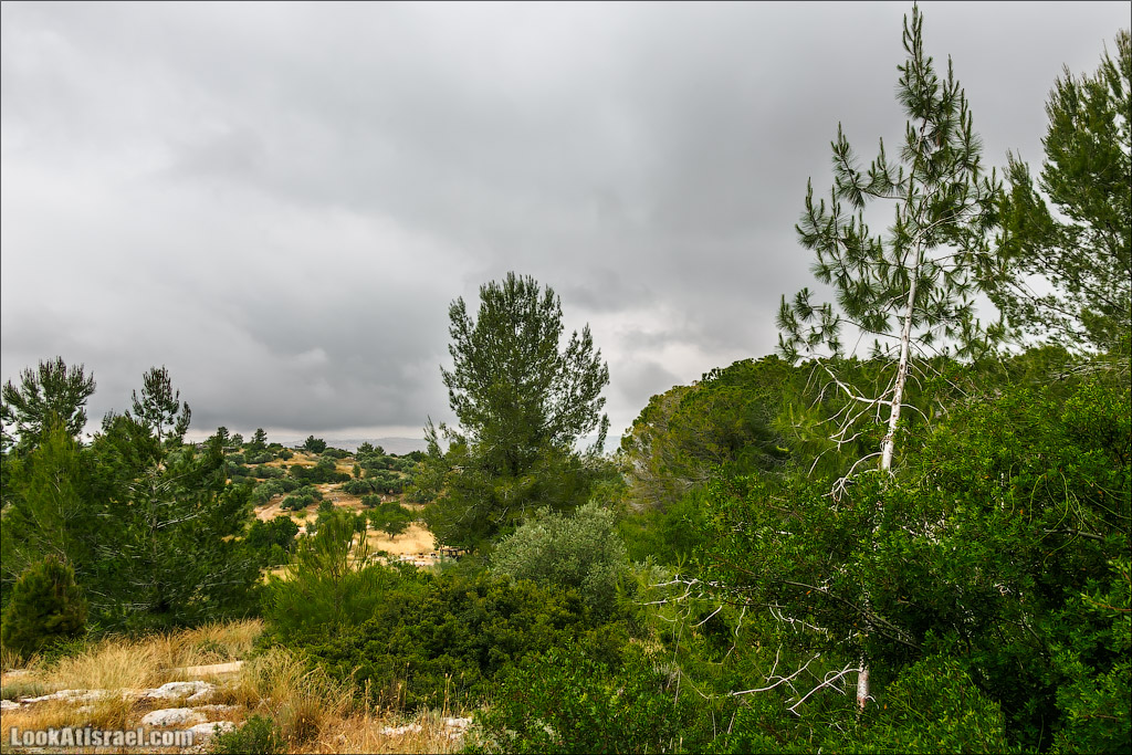 Неот Кдумим - Заповедник библейской природы | נאות קדומים