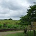 Hike around Finca Neblina del Bosque - La Rampla, Nicaragua esteli-jinotega-miraflor_083.jpg
