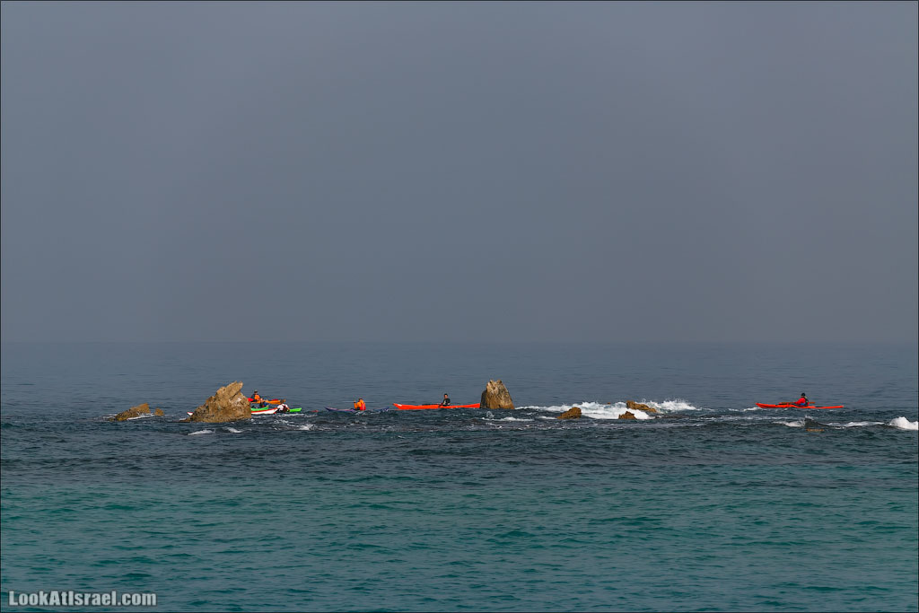 LookAtIsrael.com - Фото путешествия по Израилю | Занятия йогой в море в Тель Авиве | Yoga in Tel Aviv
