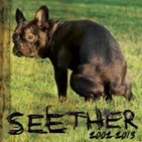 Seether: 2002-2013