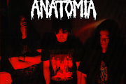 Anatomia