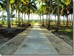 Tujuan Khusus dan Sasaran Khusus Program Pembangunan Infrastruktur Pedesaan Tujuan Khusus dan Sasaran Khusus Program Pembangunan Infrastruktur Pedesaan